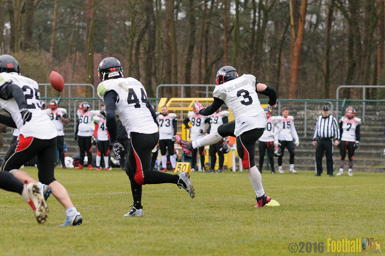 Pre-Season Game Paderborn Dolphins vs. Solingen Paladins - 20.03.2016 Pre-Season Game: Paderborn Dolphins vs. Solingen Paladins (21:6)