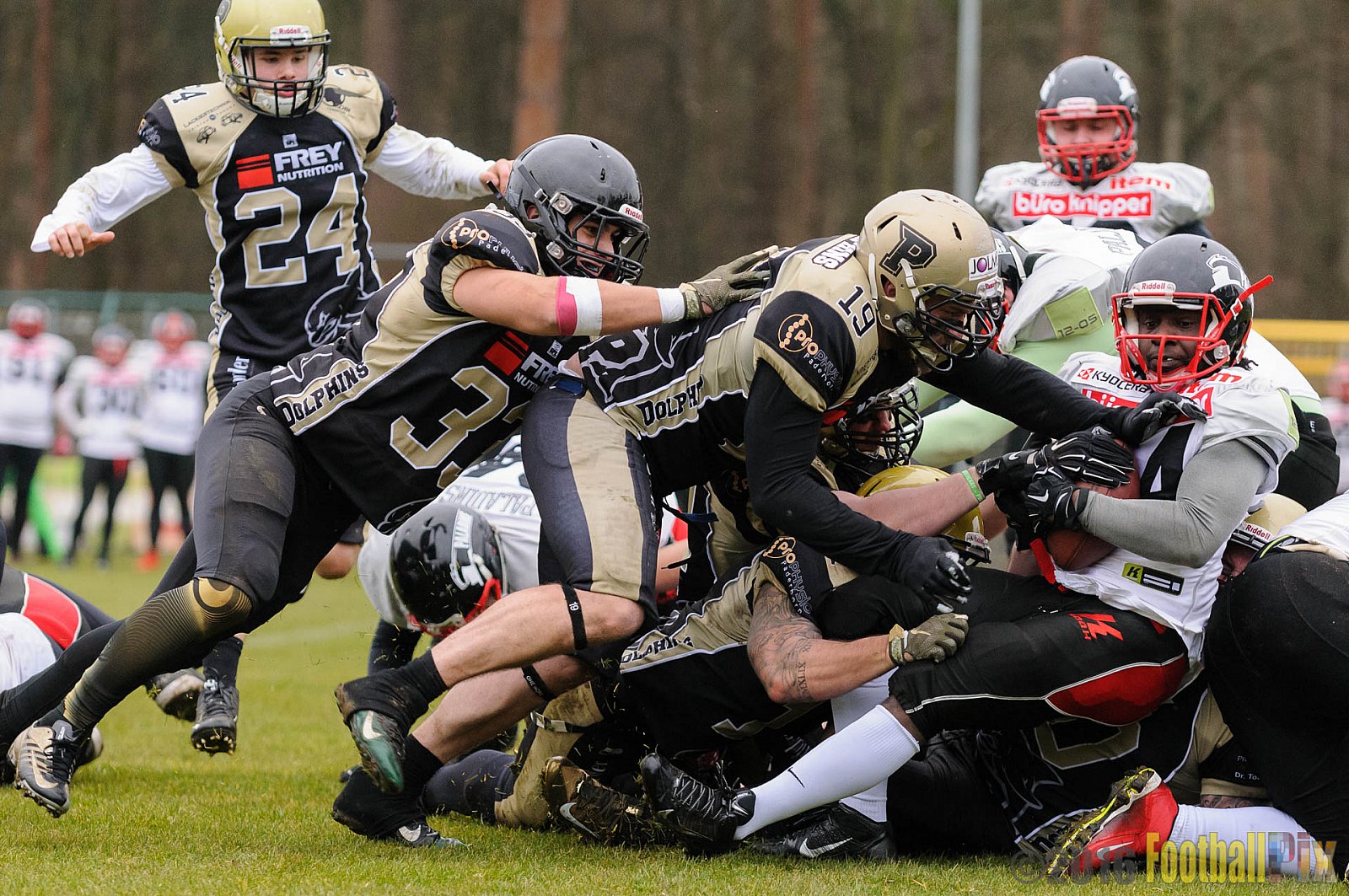 Pre-Season Game Paderborn Dolphins vs. Solingen Paladins - 20.03.2016 Pre-Season Game: Paderborn Dolphins vs. Solingen Paladins (21:6)