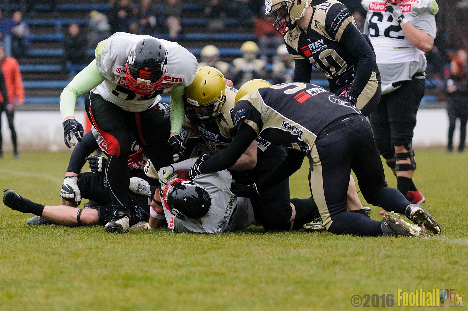 Pre-Season Game Paderborn Dolphins vs. Solingen Paladins - 20.03.2016 Pre-Season Game: Paderborn Dolphins vs. Solingen Paladins (21:6)