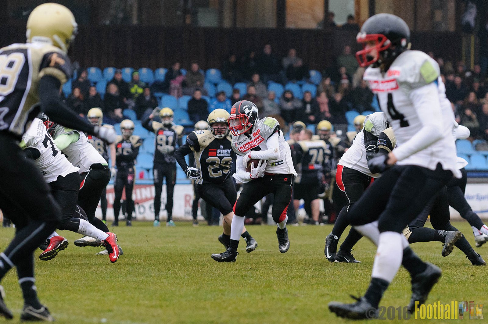 Pre-Season Game Paderborn Dolphins vs. Solingen Paladins - 20.03.2016 Pre-Season Game: Paderborn Dolphins vs. Solingen Paladins (21:6)
