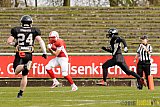 Pre-Season Game Gelsenkirchen Devils vs. Trier Stampers - 02.04.2016 Pre-Season Game: Gelsenkirchen Devils vs. Trier Stampers (34:6)