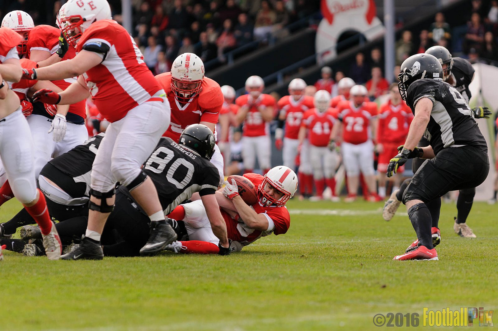 Pre-Season Game Gelsenkirchen Devils vs. Trier Stampers - 02.04.2016 Pre-Season Game: Gelsenkirchen Devils vs. Trier Stampers (34:6)