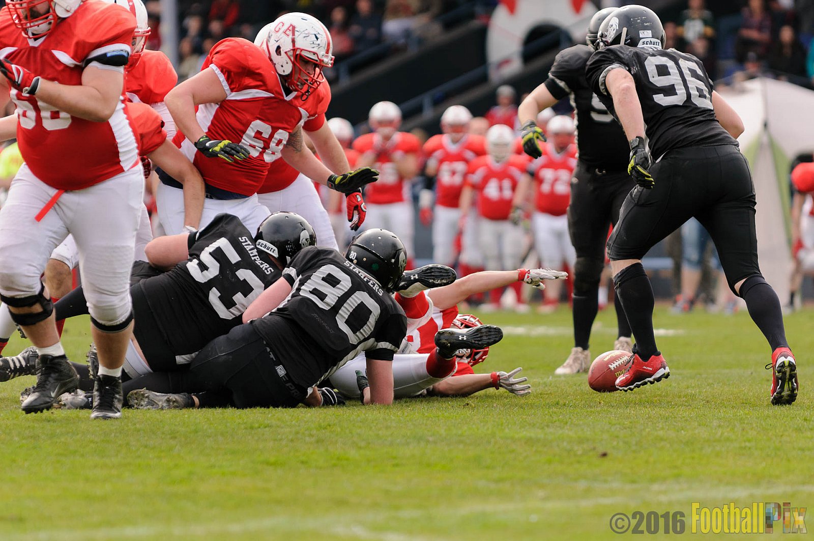 Pre-Season Game Gelsenkirchen Devils vs. Trier Stampers - 02.04.2016 Pre-Season Game: Gelsenkirchen Devils vs. Trier Stampers (34:6)