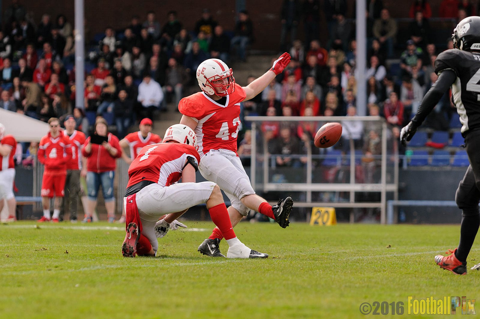 Pre-Season Game Gelsenkirchen Devils vs. Trier Stampers - 02.04.2016 Pre-Season Game: Gelsenkirchen Devils vs. Trier Stampers (34:6)