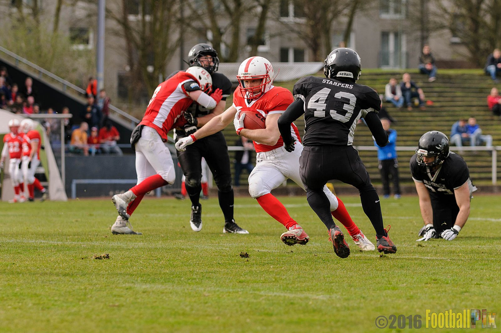 Pre-Season Game Gelsenkirchen Devils vs. Trier Stampers - 02.04.2016 Pre-Season Game: Gelsenkirchen Devils vs. Trier Stampers (34:6)