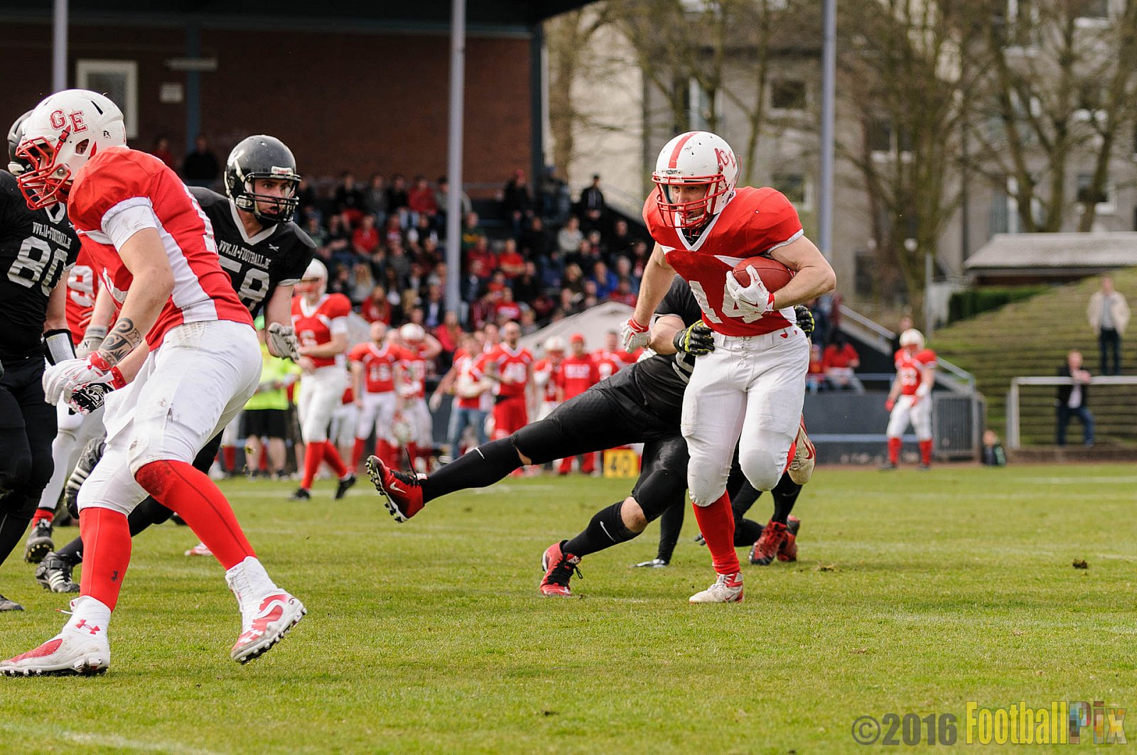 Pre-Season Game Gelsenkirchen Devils vs. Trier Stampers - 02.04.2016 Pre-Season Game: Gelsenkirchen Devils vs. Trier Stampers (34:6)