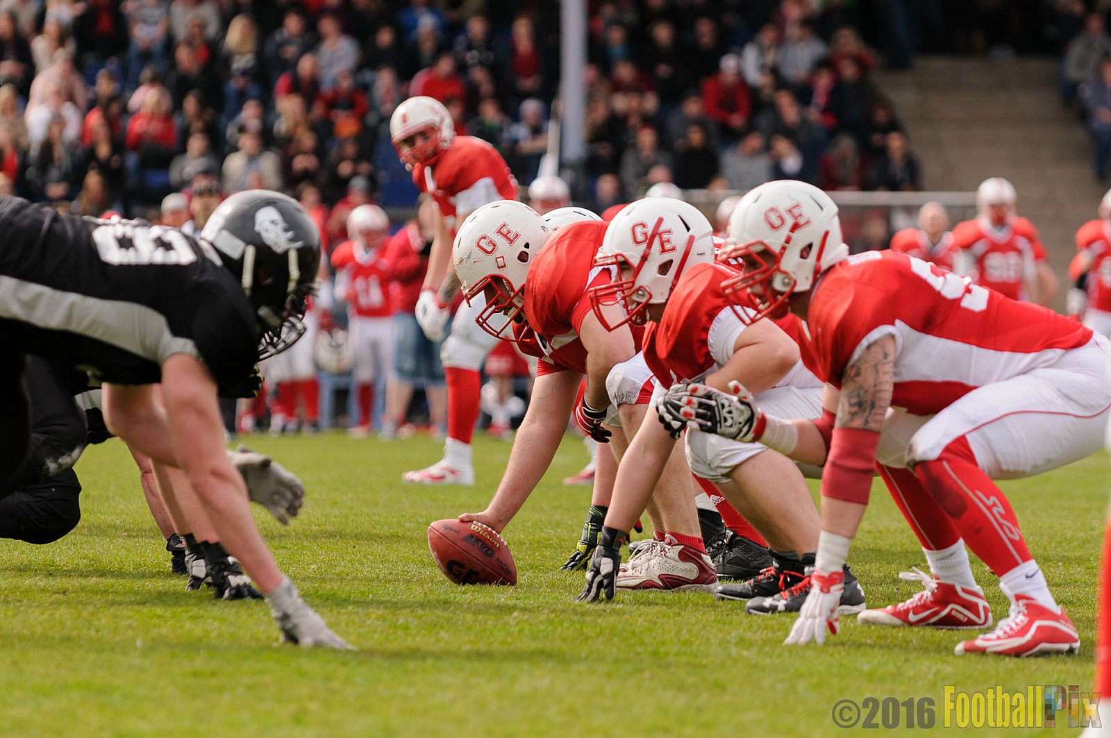 Pre-Season Game Gelsenkirchen Devils vs. Trier Stampers - 02.04.2016 Pre-Season Game: Gelsenkirchen Devils vs. Trier Stampers (34:6)