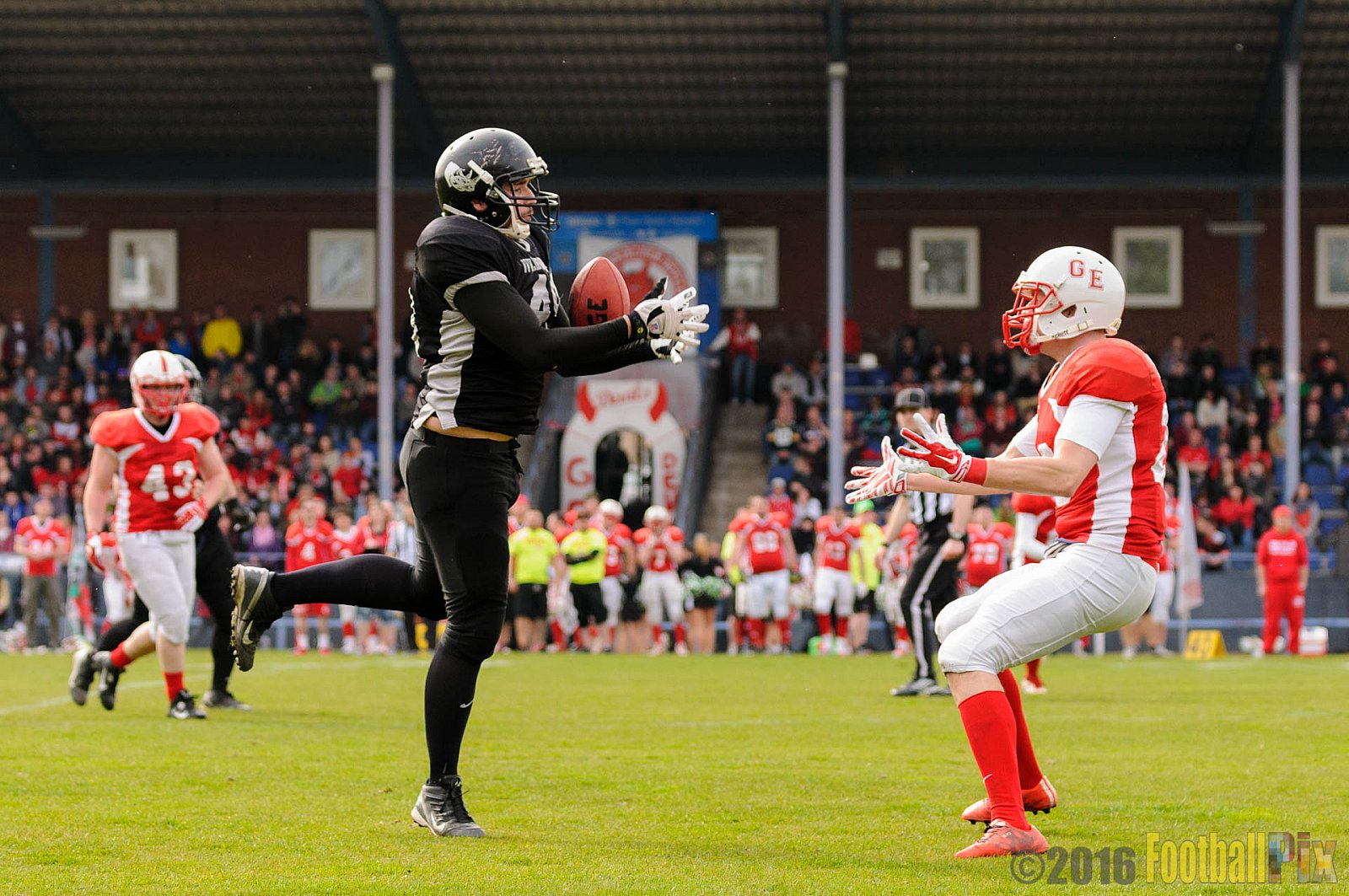 Pre-Season Game Gelsenkirchen Devils vs. Trier Stampers - 02.04.2016 Pre-Season Game: Gelsenkirchen Devils vs. Trier Stampers (34:6)