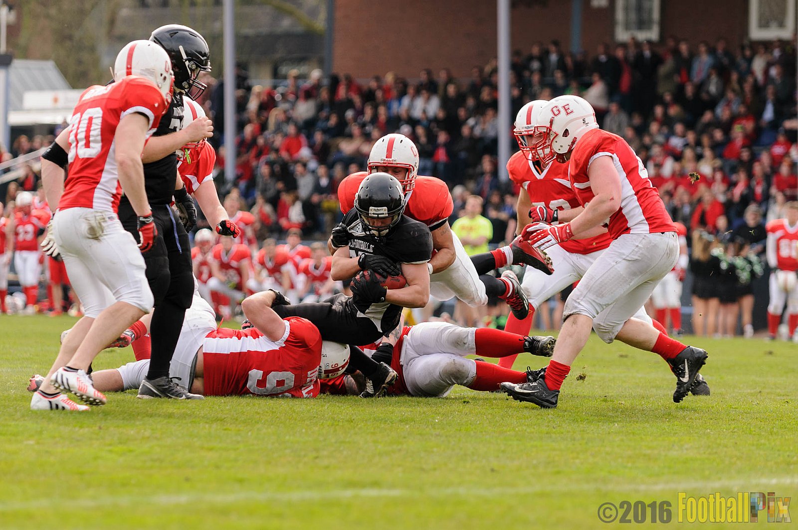 Pre-Season Game Gelsenkirchen Devils vs. Trier Stampers - 02.04.2016 Pre-Season Game: Gelsenkirchen Devils vs. Trier Stampers (34:6)