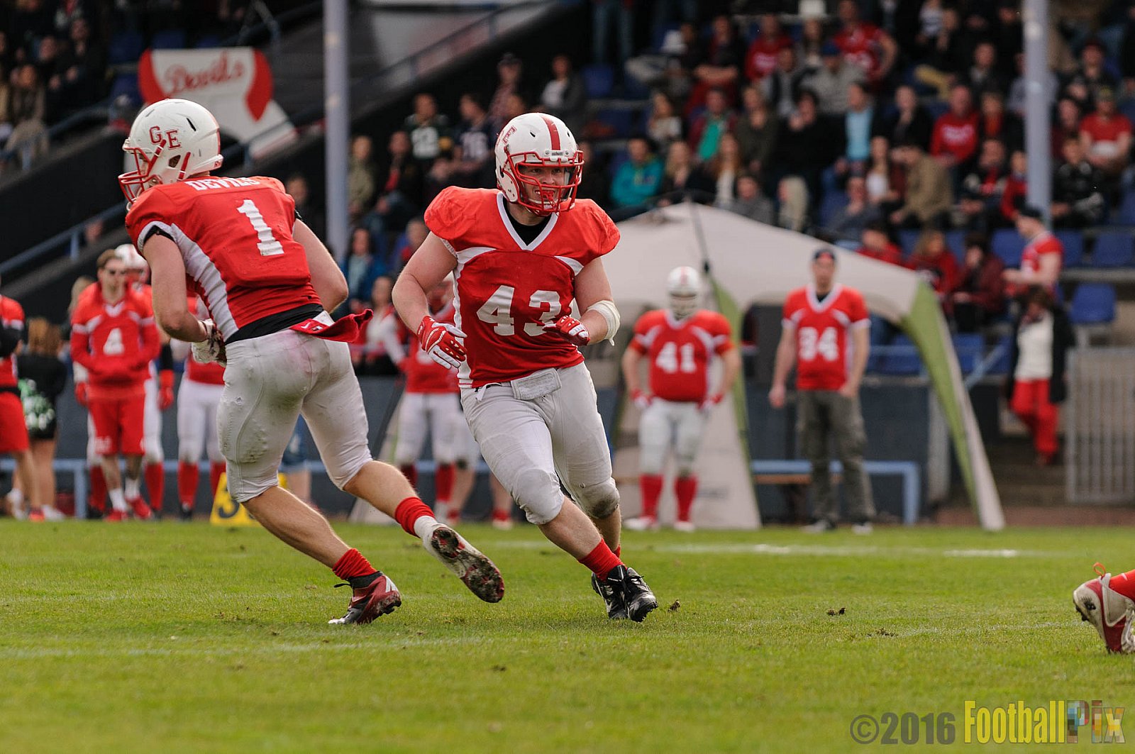 Pre-Season Game Gelsenkirchen Devils vs. Trier Stampers - 02.04.2016 Pre-Season Game: Gelsenkirchen Devils vs. Trier Stampers (34:6)