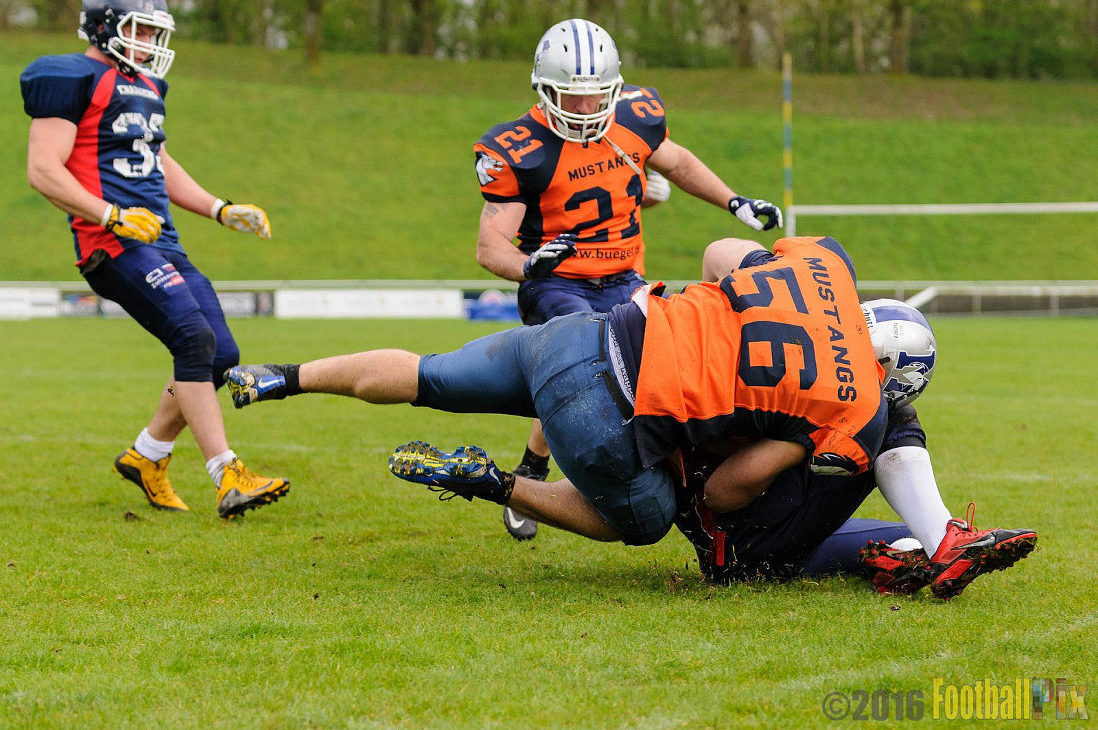 Recklinghausen Chargers vs. Sauerland Mustangs - 16.04.2016 LL NRW: Recklinghausen Chargers vs. Sauerland Mustangs (12:7)