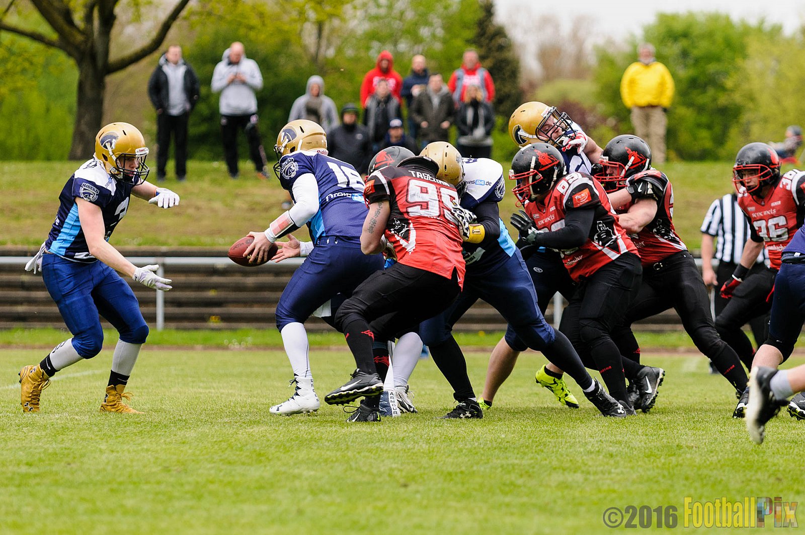 Schiefbahn Riders vs. Siegen Sentinels - 23.04.2016 OL NRW: Schiefbahn Riders vs. Siegen Sentinels (30:33)