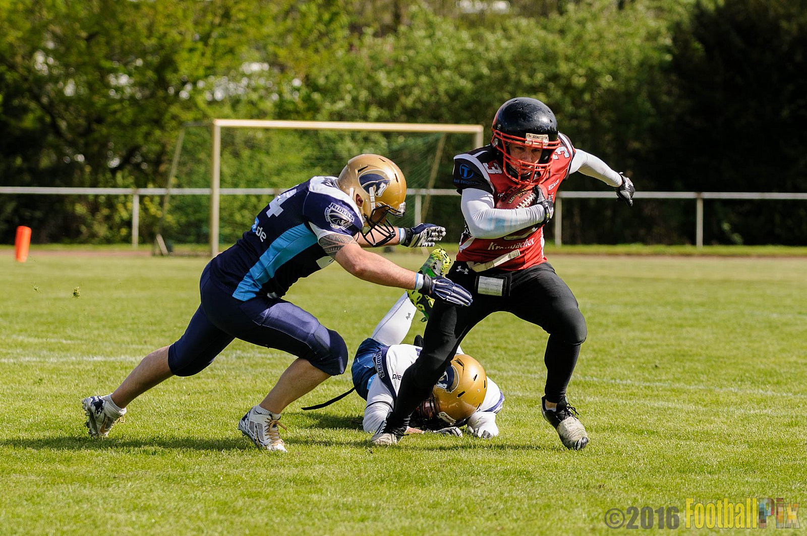 Schiefbahn Riders vs. Siegen Sentinels - 23.04.2016 OL NRW: Schiefbahn Riders vs. Siegen Sentinels (30:33)
