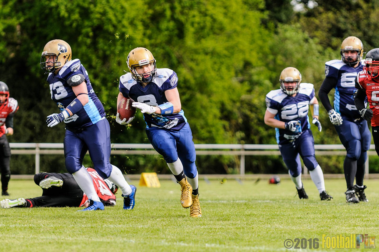 Schiefbahn Riders vs. Siegen Sentinels - 23.04.2016 OL NRW: Schiefbahn Riders vs. Siegen Sentinels (30:33)