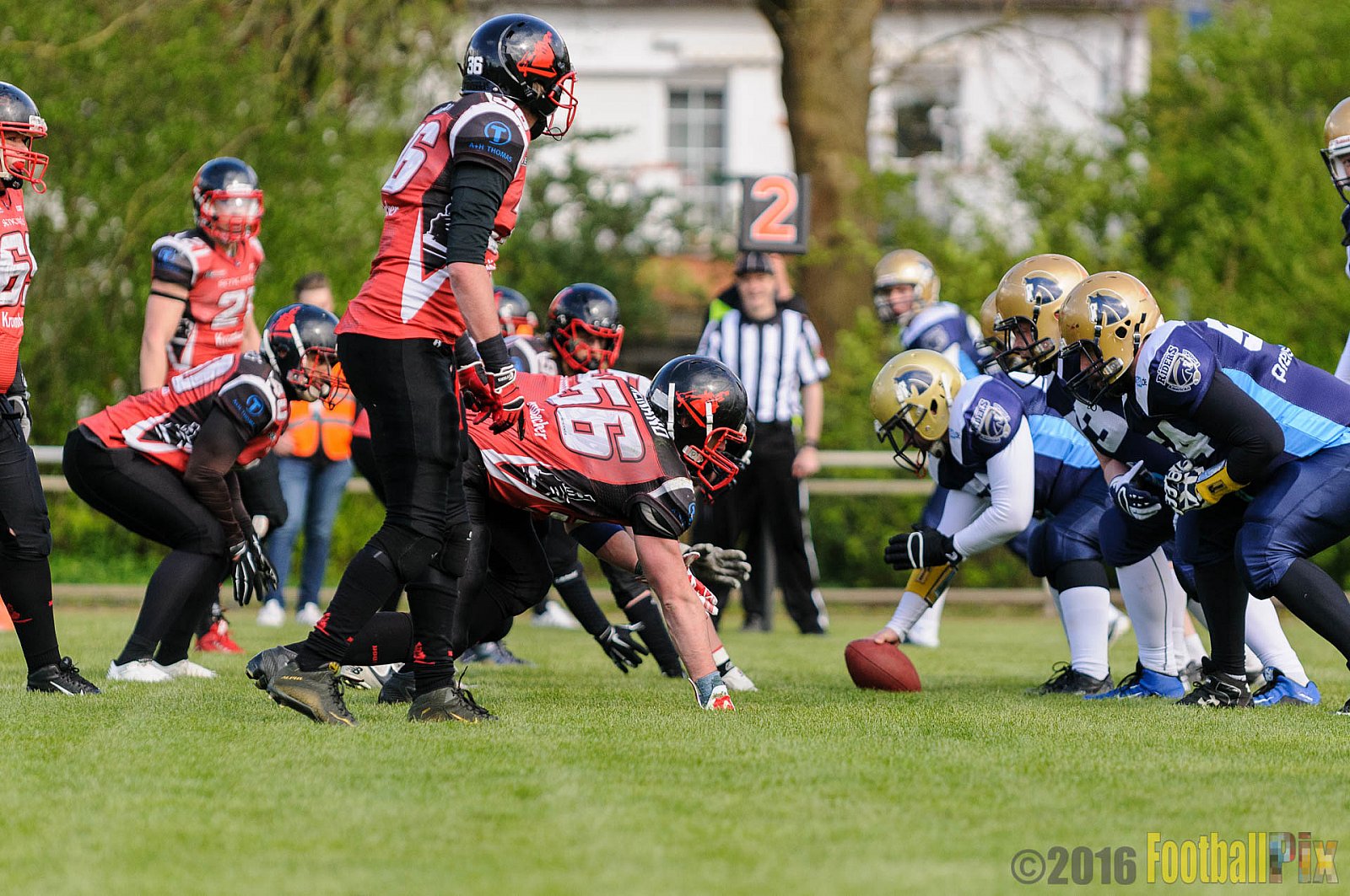 Schiefbahn Riders vs. Siegen Sentinels - 23.04.2016 OL NRW: Schiefbahn Riders vs. Siegen Sentinels (30:33)