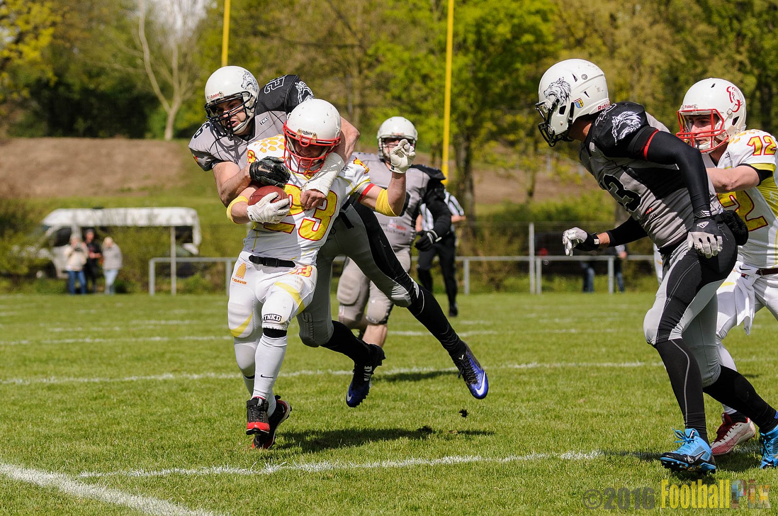 Mönchengladbach Wolfpack vs. Münster Mammuts - 24.04.2016 OL NRW: Mönchengladbach Wolfpack vs. Münster Mammuts (6:6)