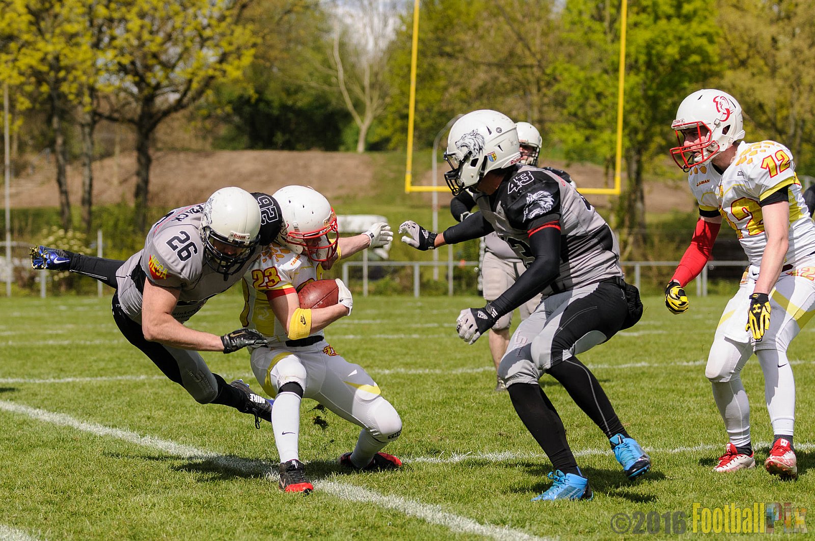 Mönchengladbach Wolfpack vs. Münster Mammuts - 24.04.2016 OL NRW: Mönchengladbach Wolfpack vs. Münster Mammuts (6:6)