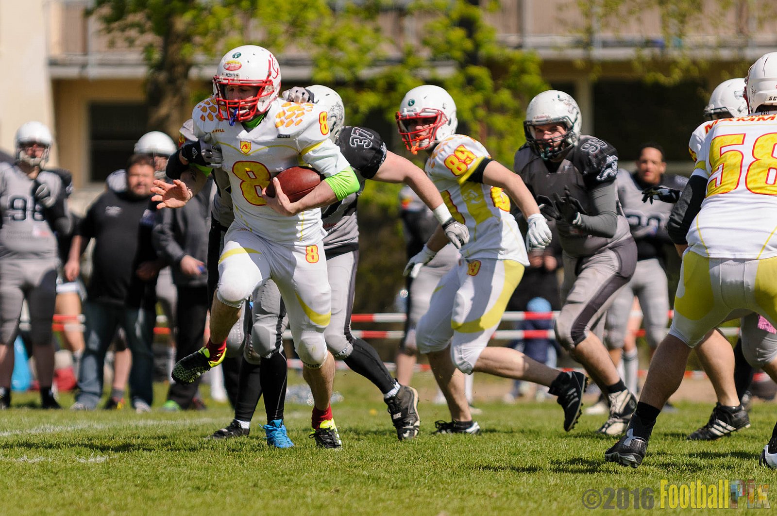 Mönchengladbach Wolfpack vs. Münster Mammuts - 24.04.2016 OL NRW: Mönchengladbach Wolfpack vs. Münster Mammuts (6:6)