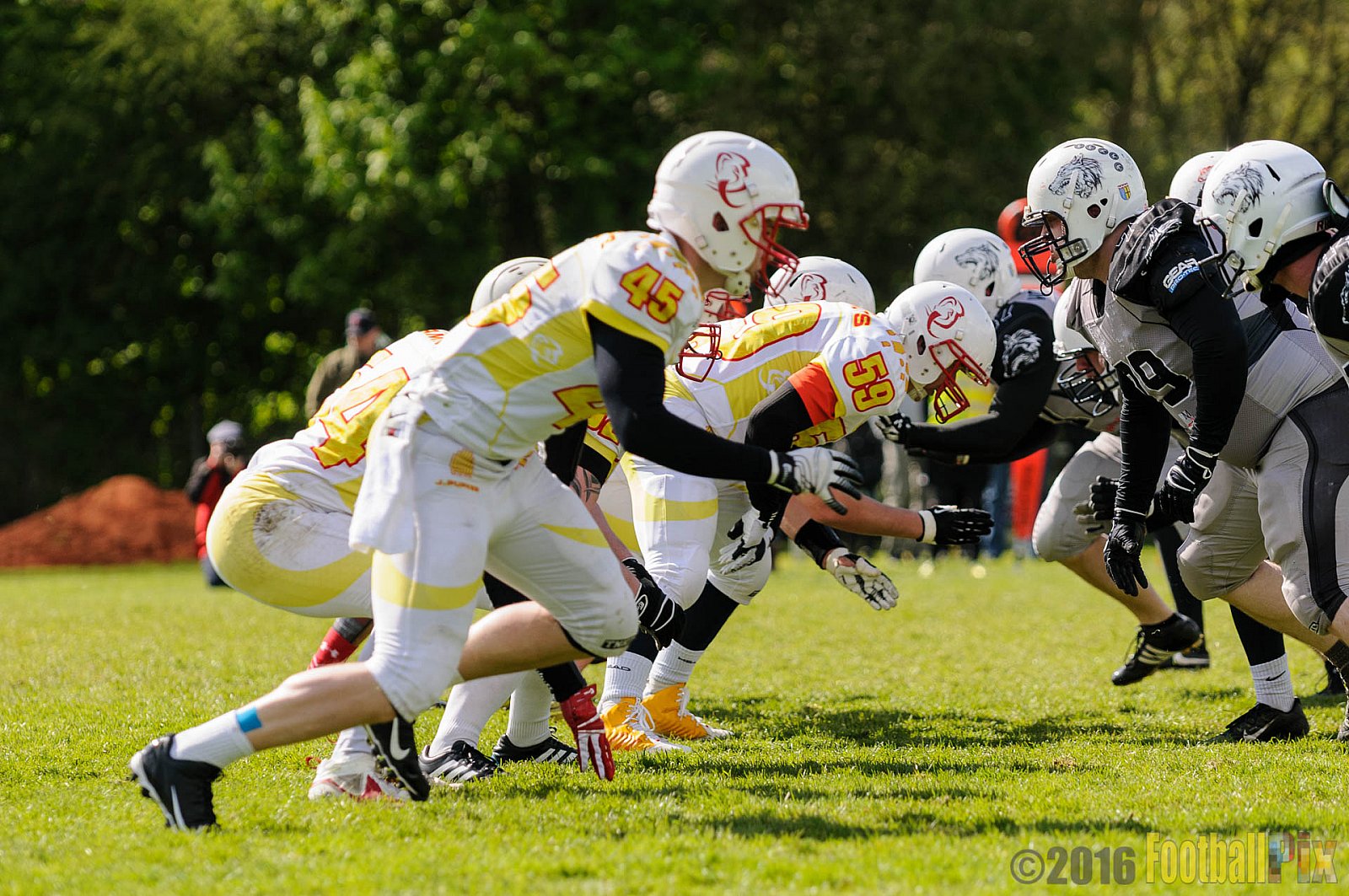Mönchengladbach Wolfpack vs. Münster Mammuts - 24.04.2016 OL NRW: Mönchengladbach Wolfpack vs. Münster Mammuts (6:6)