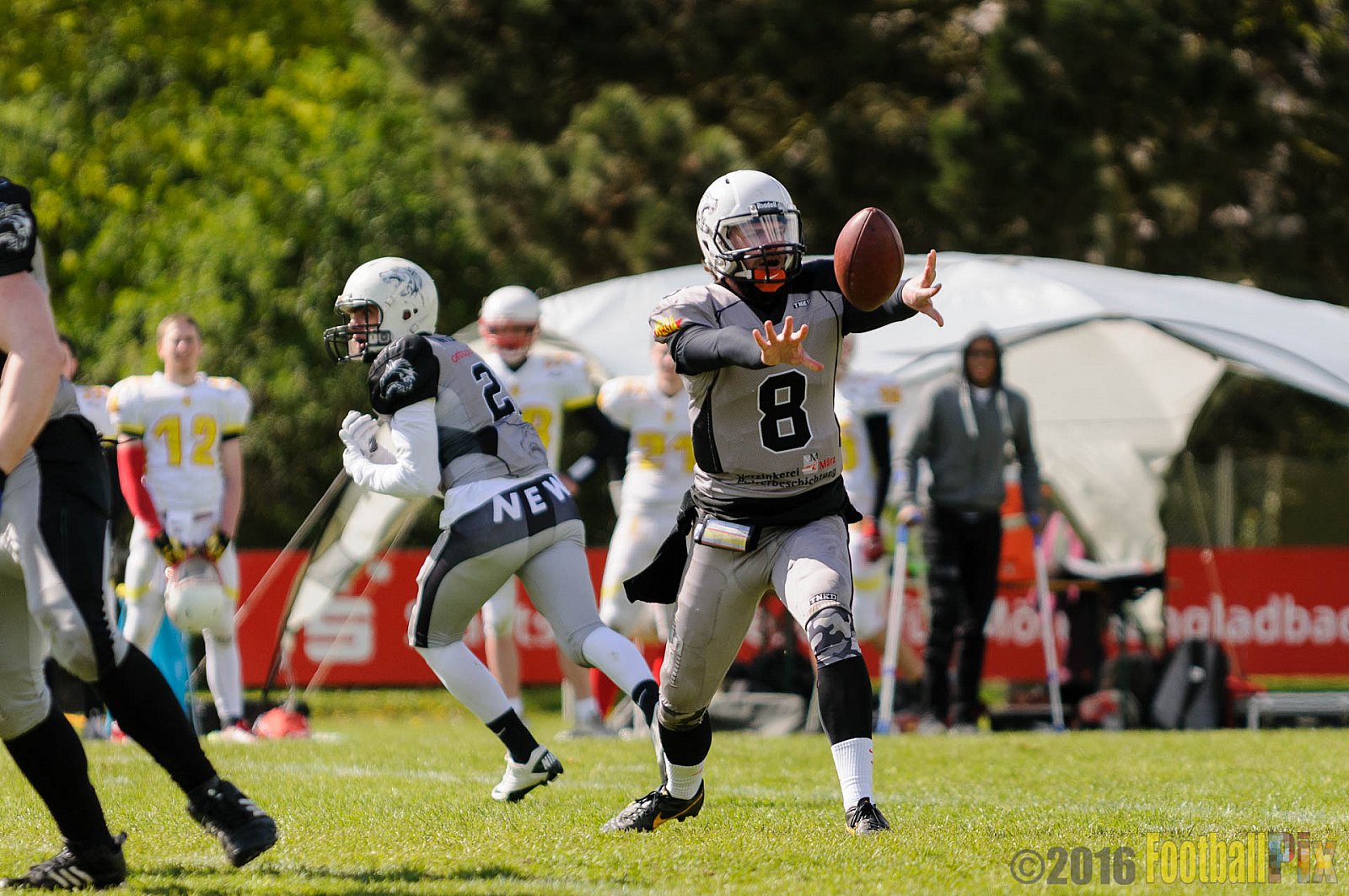 Mönchengladbach Wolfpack vs. Münster Mammuts - 24.04.2016 OL NRW: Mönchengladbach Wolfpack vs. Münster Mammuts (6:6)
