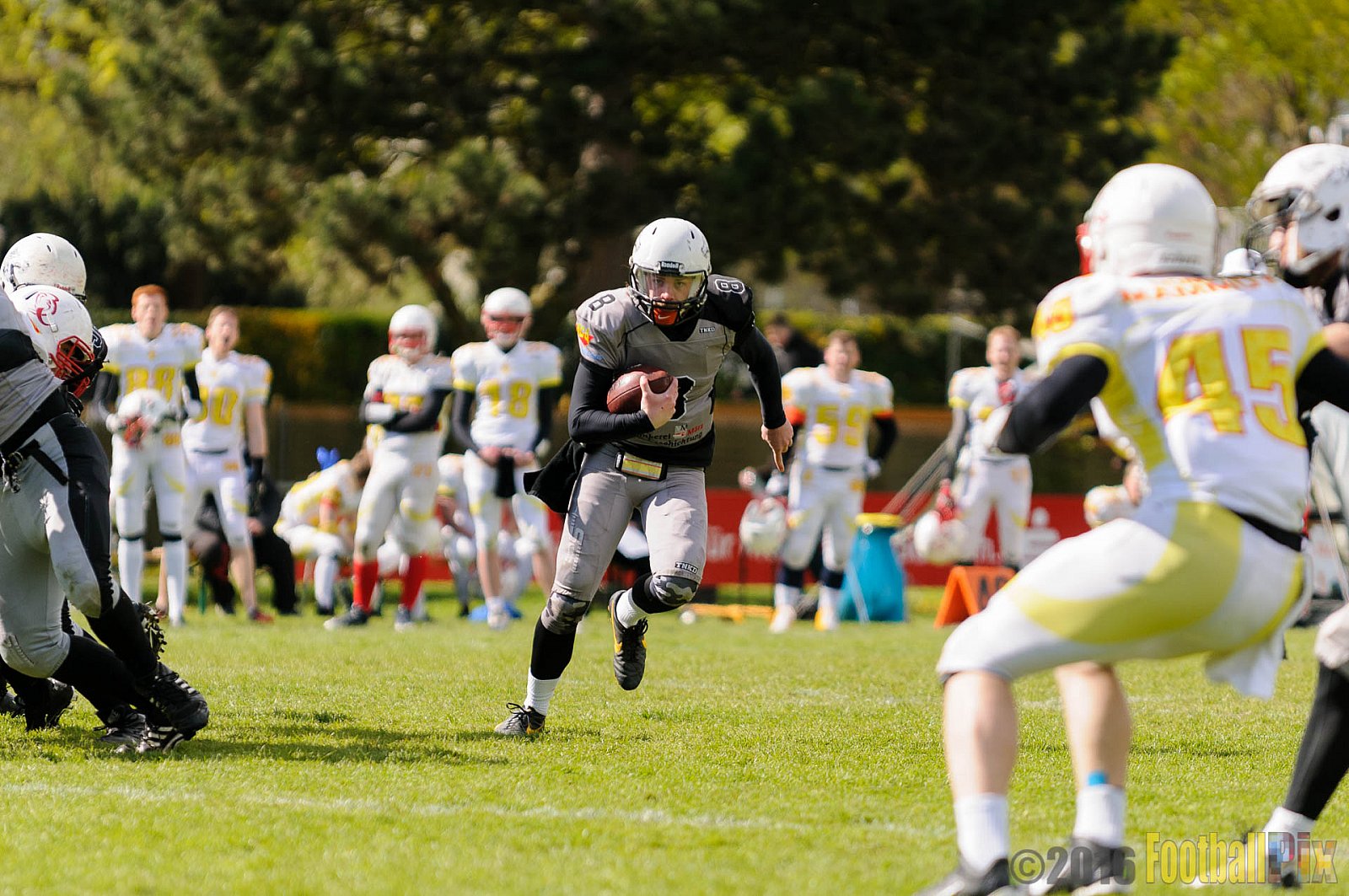 Mönchengladbach Wolfpack vs. Münster Mammuts - 24.04.2016 OL NRW: Mönchengladbach Wolfpack vs. Münster Mammuts (6:6)