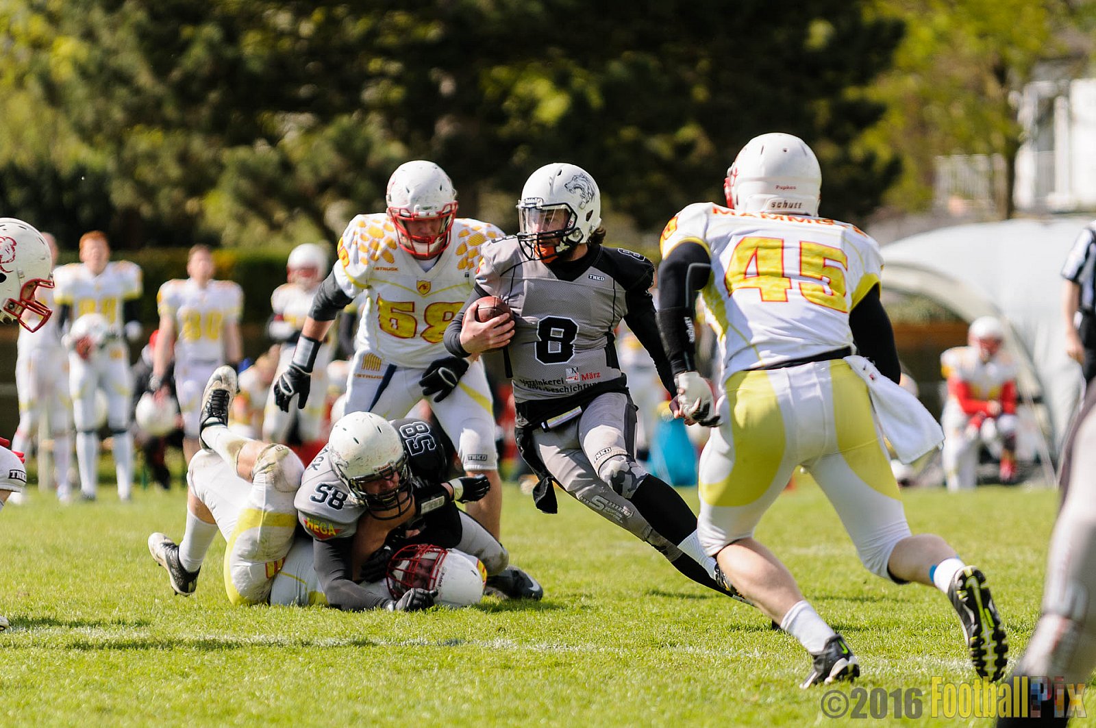 Mönchengladbach Wolfpack vs. Münster Mammuts - 24.04.2016 OL NRW: Mönchengladbach Wolfpack vs. Münster Mammuts (6:6)