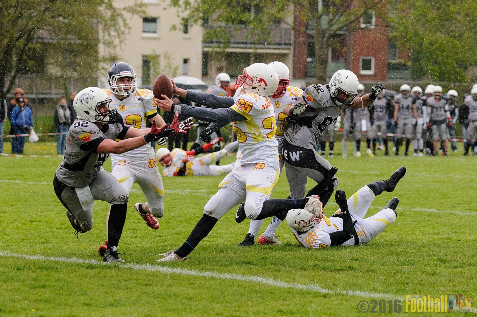 Mönchengladbach Wolfpack vs. Münster Mammuts - 24.04.2016 OL NRW: Mönchengladbach Wolfpack vs. Münster Mammuts (6:6)