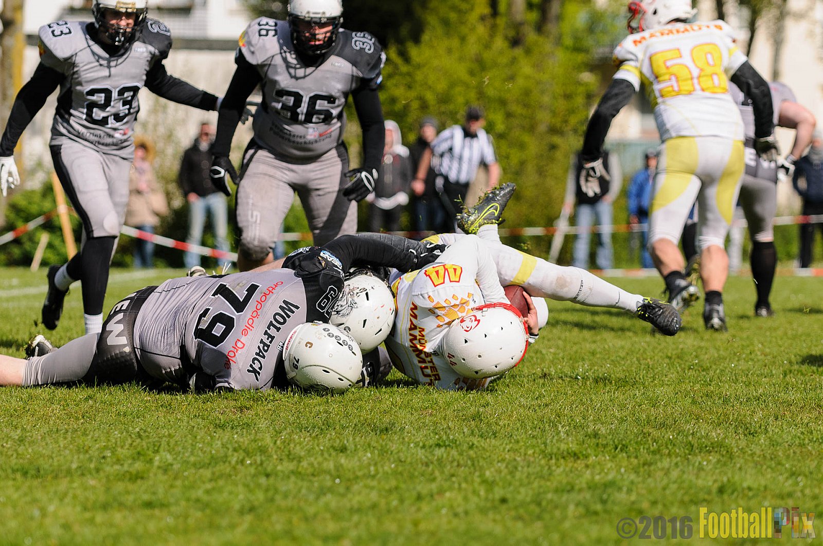 Mönchengladbach Wolfpack vs. Münster Mammuts - 24.04.2016 OL NRW: Mönchengladbach Wolfpack vs. Münster Mammuts (6:6)