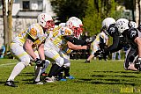 Mönchengladbach Wolfpack vs. Münster Mammuts - 24.04.2016 OL NRW: Mönchengladbach Wolfpack vs. Münster Mammuts (6:6)