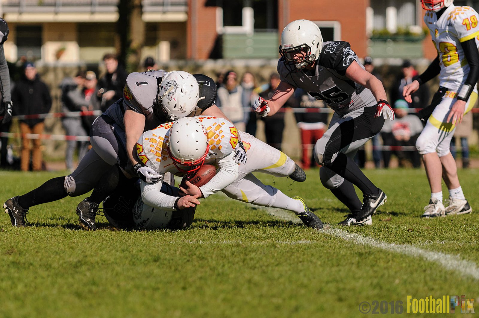 Mönchengladbach Wolfpack vs. Münster Mammuts - 24.04.2016 OL NRW: Mönchengladbach Wolfpack vs. Münster Mammuts (6:6)