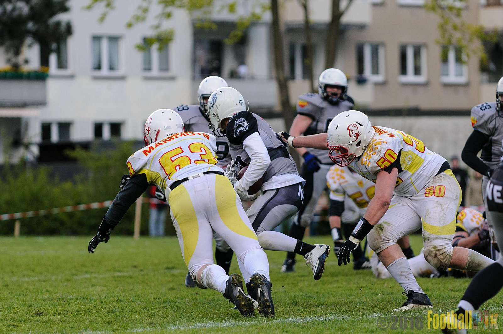 Mönchengladbach Wolfpack vs. Münster Mammuts - 24.04.2016 OL NRW: Mönchengladbach Wolfpack vs. Münster Mammuts (6:6)