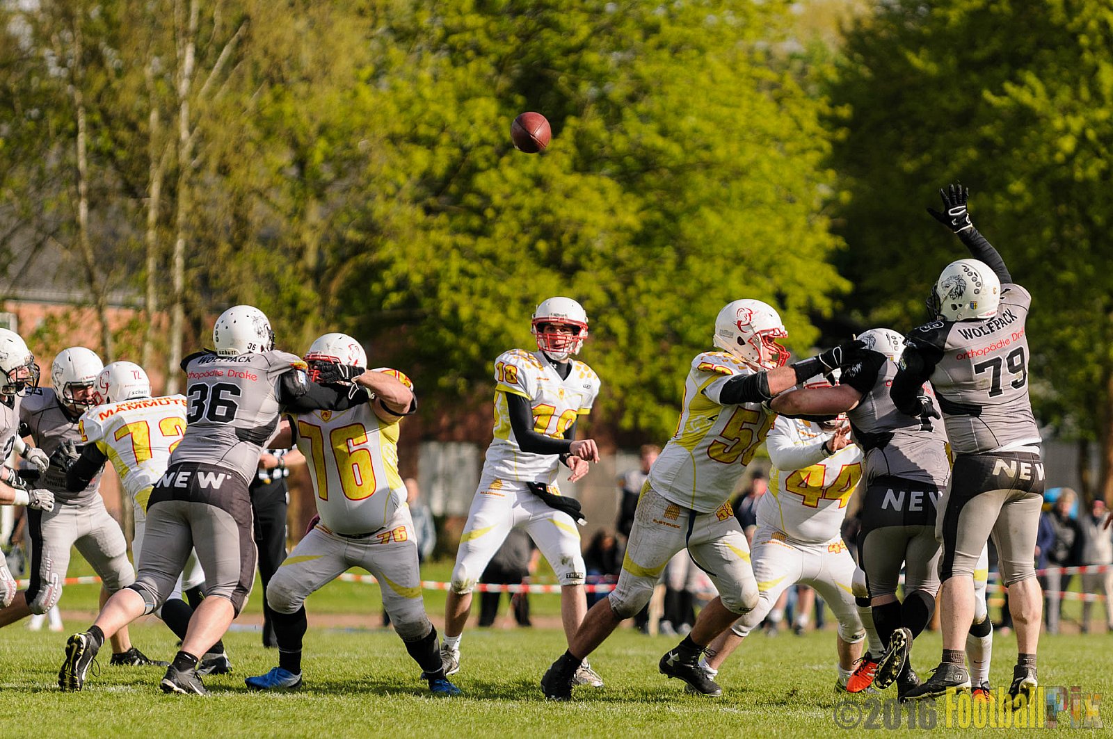 Mönchengladbach Wolfpack vs. Münster Mammuts - 24.04.2016 OL NRW: Mönchengladbach Wolfpack vs. Münster Mammuts (6:6)