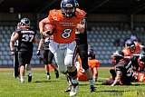 Düsseldorf Panther Prospects vs. Kerpen Bears - 08.05.2016 VL NRW: Düsseldorf Panther Prospects vs. Kerpen Bears (7:34)