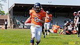 Düsseldorf Panther Prospects vs. Kerpen Bears - 08.05.2016 VL NRW: Düsseldorf Panther Prospects vs. Kerpen Bears (7:34)