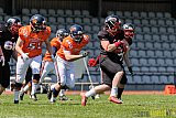 Düsseldorf Panther Prospects vs. Kerpen Bears - 08.05.2016 VL NRW: Düsseldorf Panther Prospects vs. Kerpen Bears (7:34)