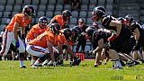 Düsseldorf Panther Prospects vs. Kerpen Bears - 08.05.2016 VL NRW: Düsseldorf Panther Prospects vs. Kerpen Bears (7:34)