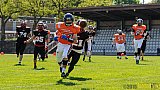 Düsseldorf Panther Prospects vs. Kerpen Bears - 08.05.2016 VL NRW: Düsseldorf Panther Prospects vs. Kerpen Bears (7:34)