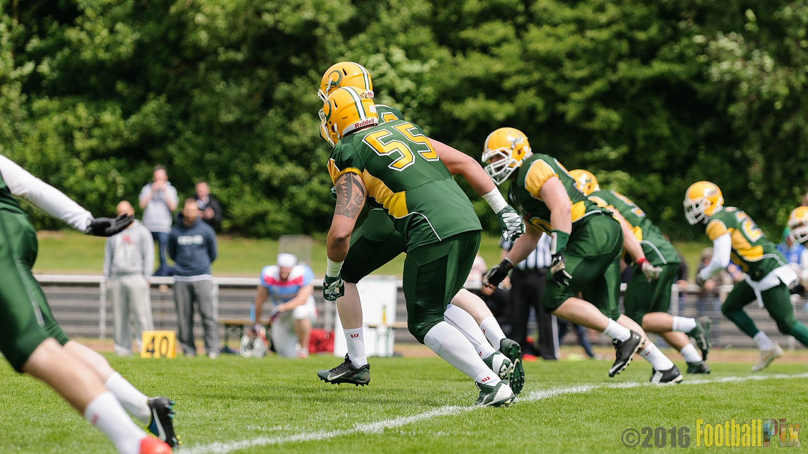 Cologne Crocodiles vs. Bonn Gamecocks - 15.05.2016 GFL2: Cologne Crocodiles vs. Bonn Gamecocks (6:0)