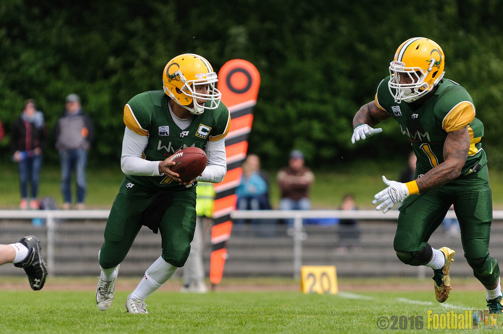 Cologne Crocodiles vs. Bonn Gamecocks - 15.05.2016 GFL2: Cologne Crocodiles vs. Bonn Gamecocks (6:0)