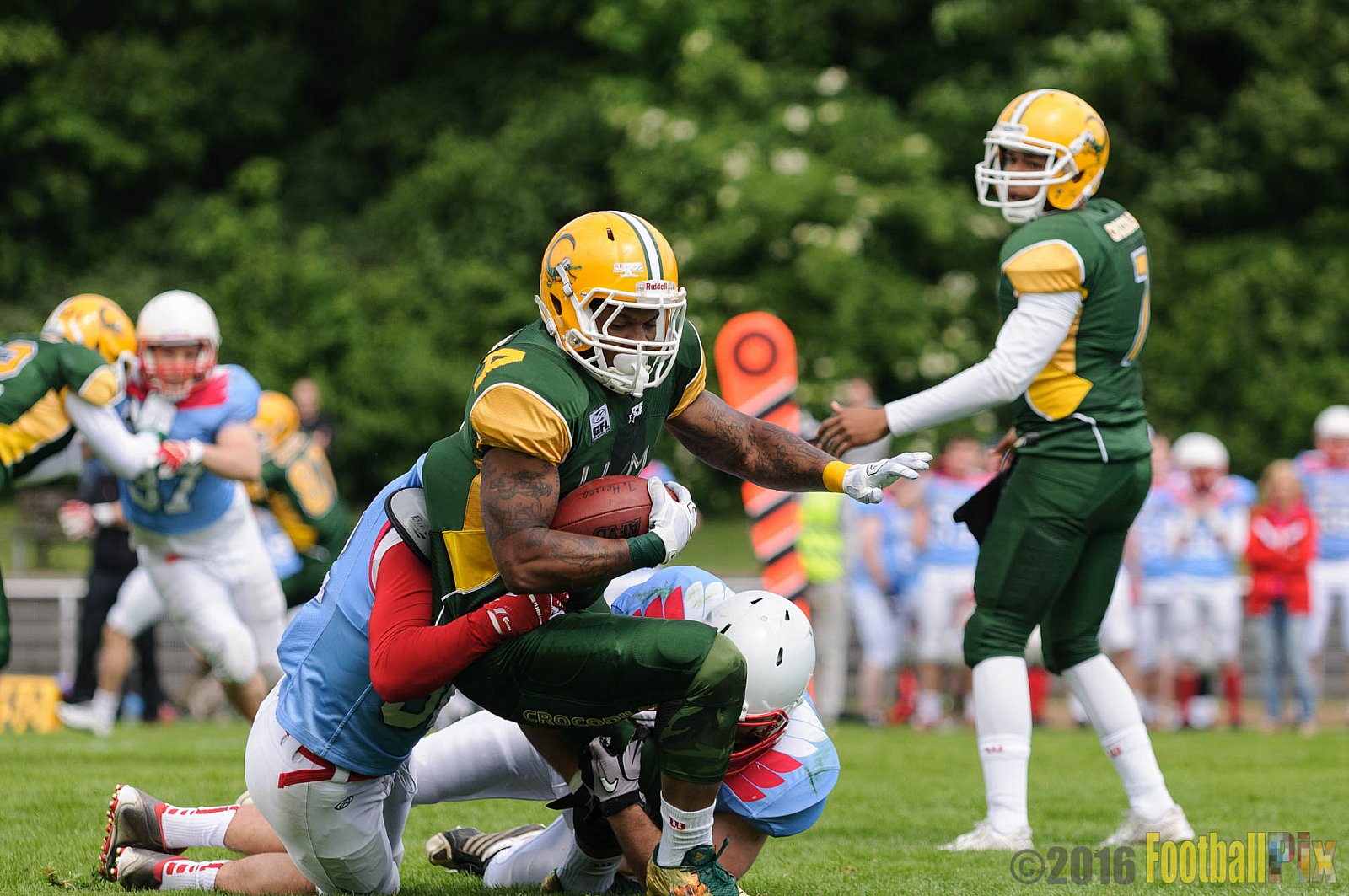 Cologne Crocodiles vs. Bonn Gamecocks - 15.05.2016 GFL2: Cologne Crocodiles vs. Bonn Gamecocks (6:0)