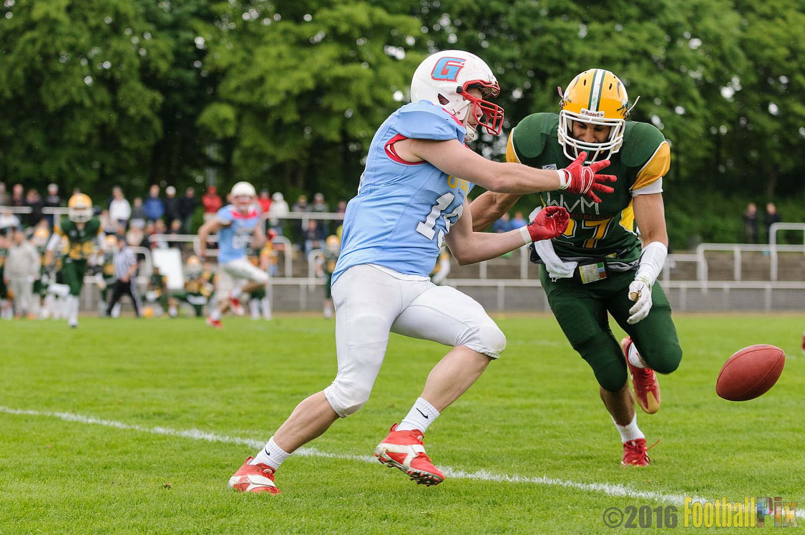 Cologne Crocodiles vs. Bonn Gamecocks - 15.05.2016 GFL2: Cologne Crocodiles vs. Bonn Gamecocks (6:0)