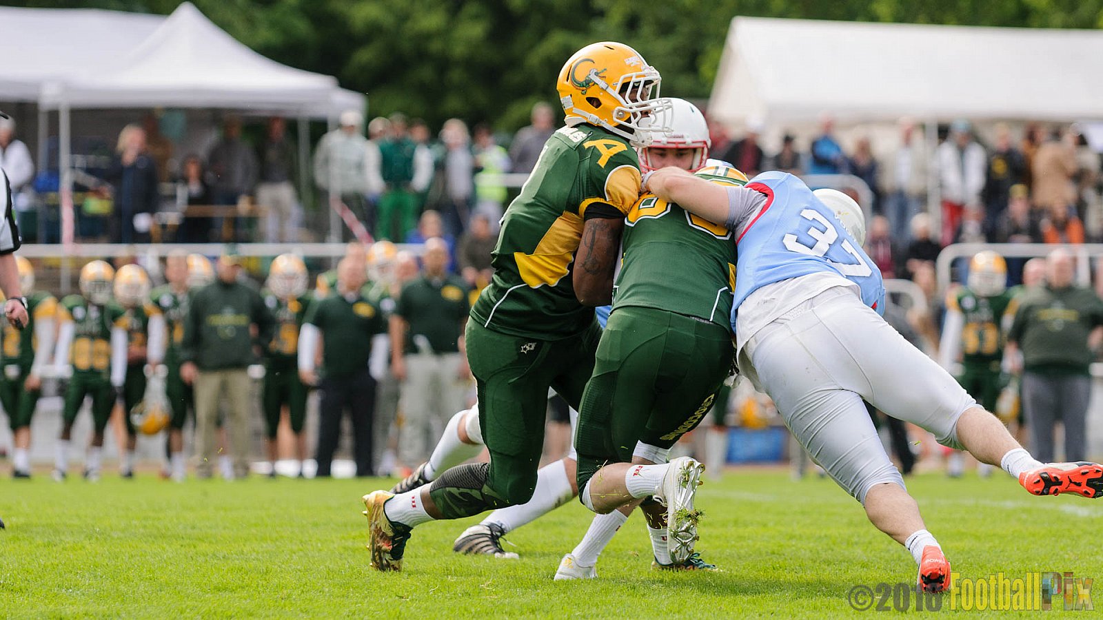 Cologne Crocodiles vs. Bonn Gamecocks - 15.05.2016 GFL2: Cologne Crocodiles vs. Bonn Gamecocks (6:0)