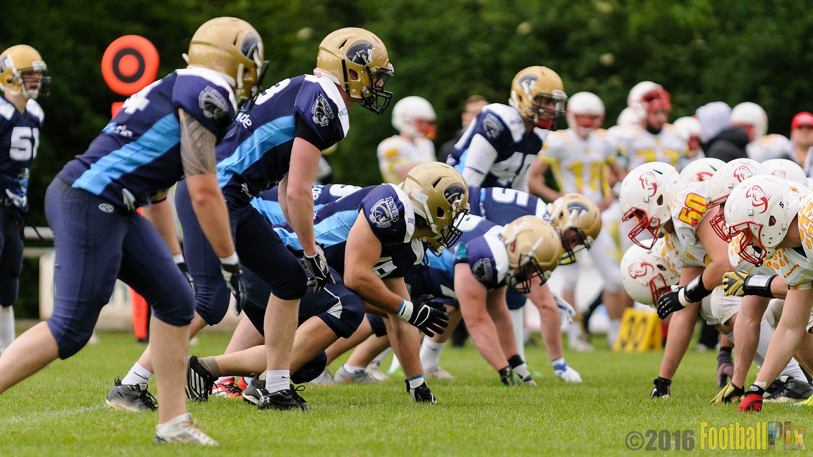 Schiefbahn Riders vs. Münster Mammuts - 16.05.2016 OL NRW: Schiefbahn Riders vs. Münster Mammuts (0:9)
