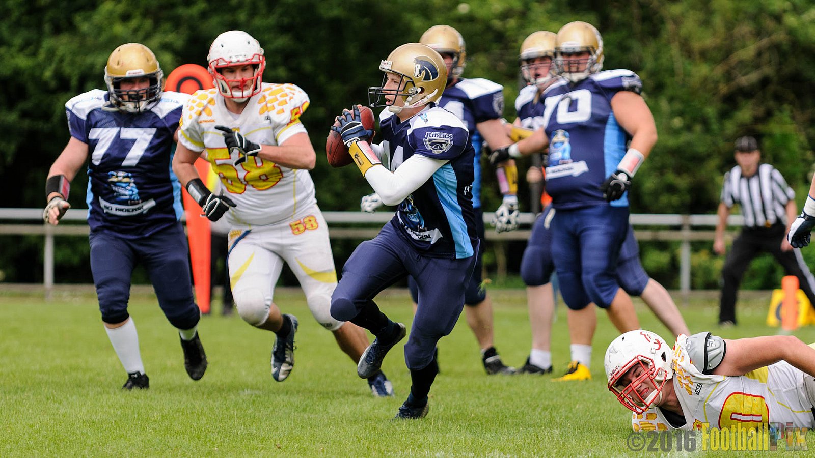 Schiefbahn Riders vs. Münster Mammuts - 16.05.2016 OL NRW: Schiefbahn Riders vs. Münster Mammuts (0:9)