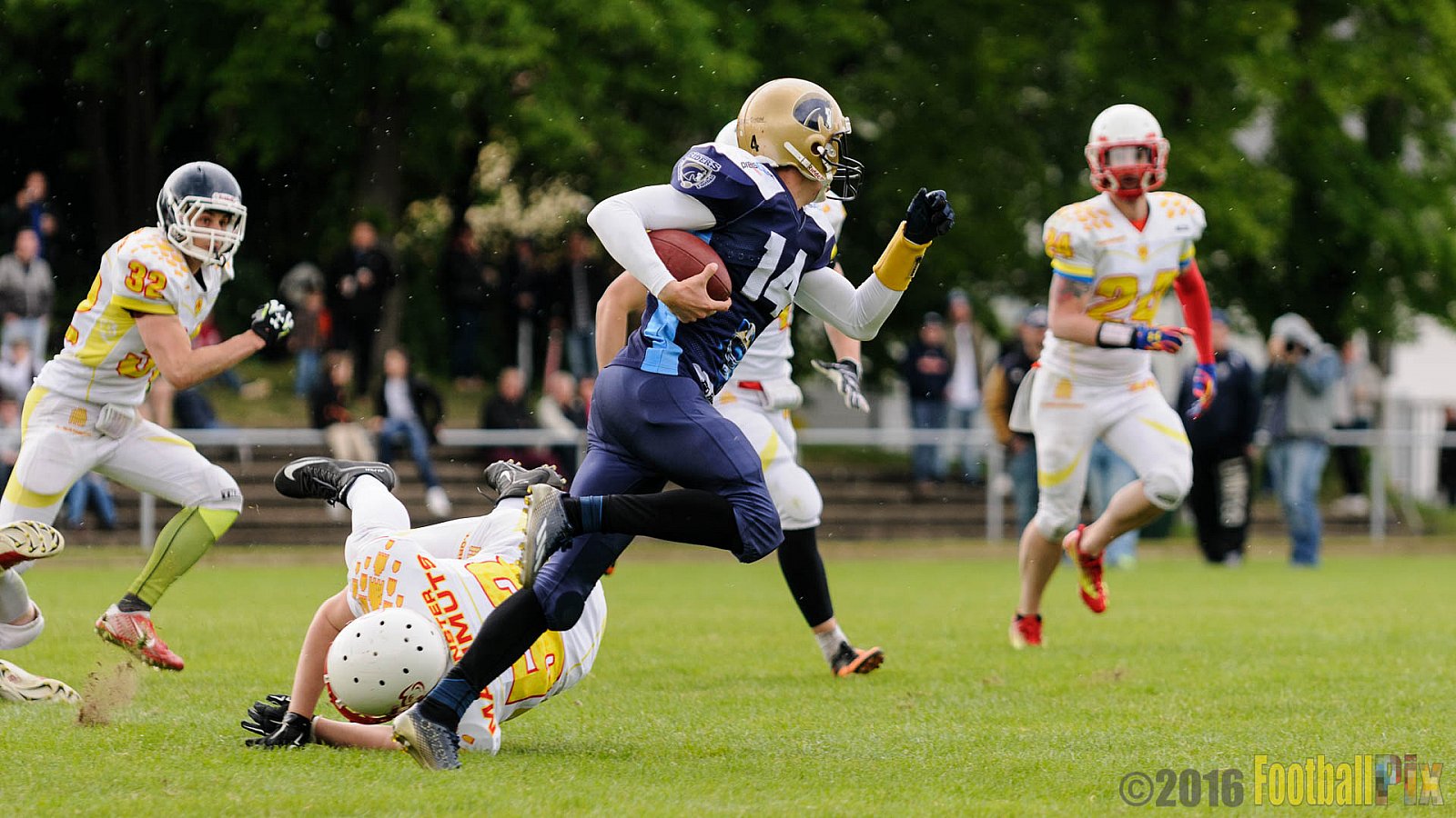 Schiefbahn Riders vs. Münster Mammuts - 16.05.2016 OL NRW: Schiefbahn Riders vs. Münster Mammuts (0:9)