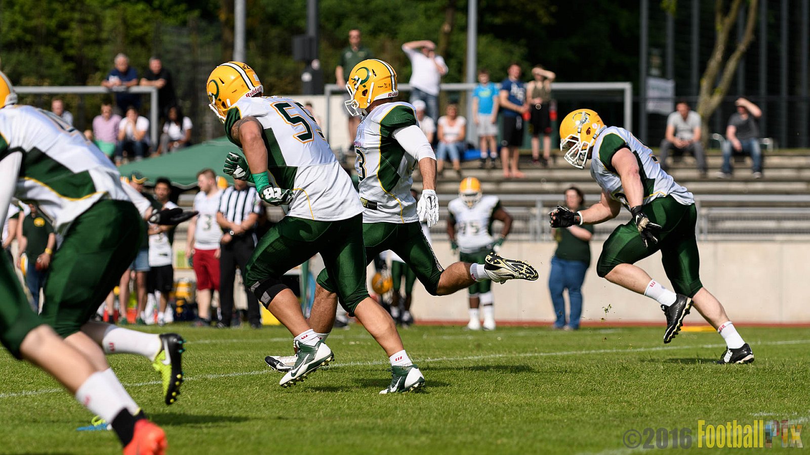 Essen Assindia Cardinals vs. Cologne Crocodiles - 21.05.2016 GFL2: Essen Assindia Cardinals vs. Cologne Crocodiles (0:17)