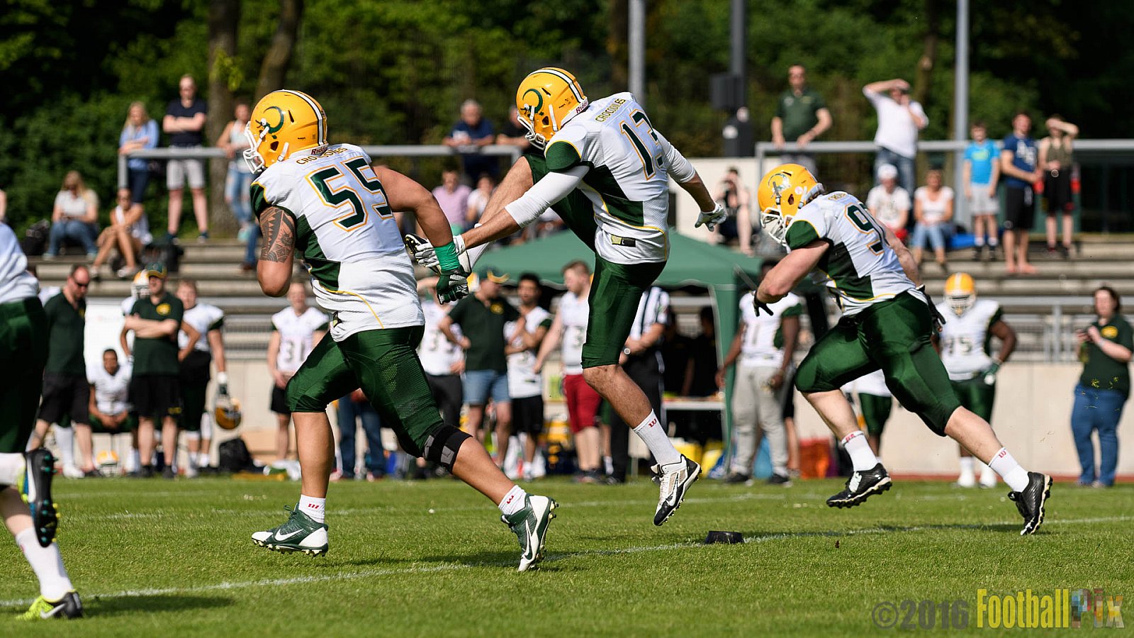 Essen Assindia Cardinals vs. Cologne Crocodiles - 21.05.2016 GFL2: Essen Assindia Cardinals vs. Cologne Crocodiles (0:17)