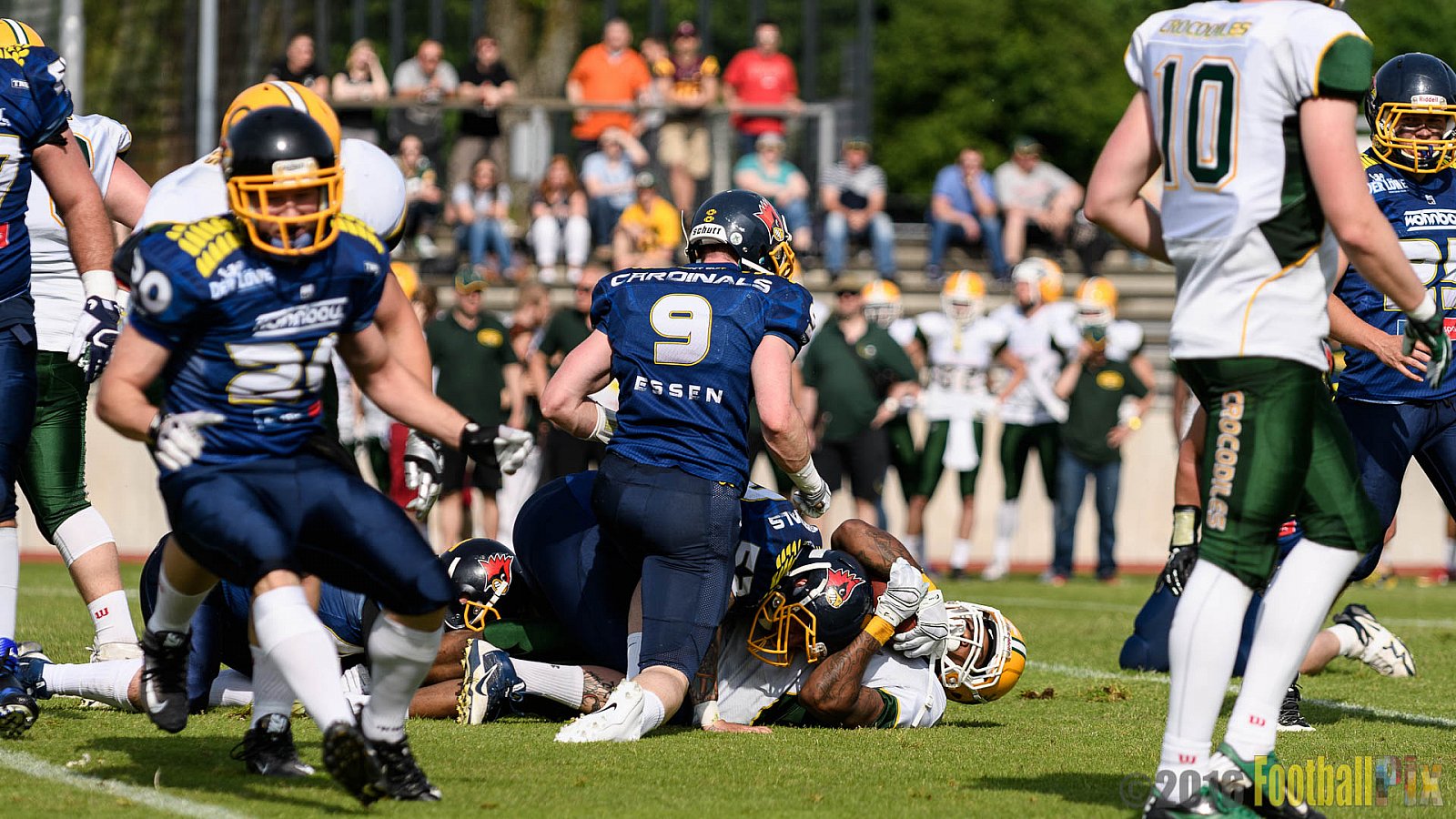 Essen Assindia Cardinals vs. Cologne Crocodiles - 21.05.2016 GFL2: Essen Assindia Cardinals vs. Cologne Crocodiles (0:17)