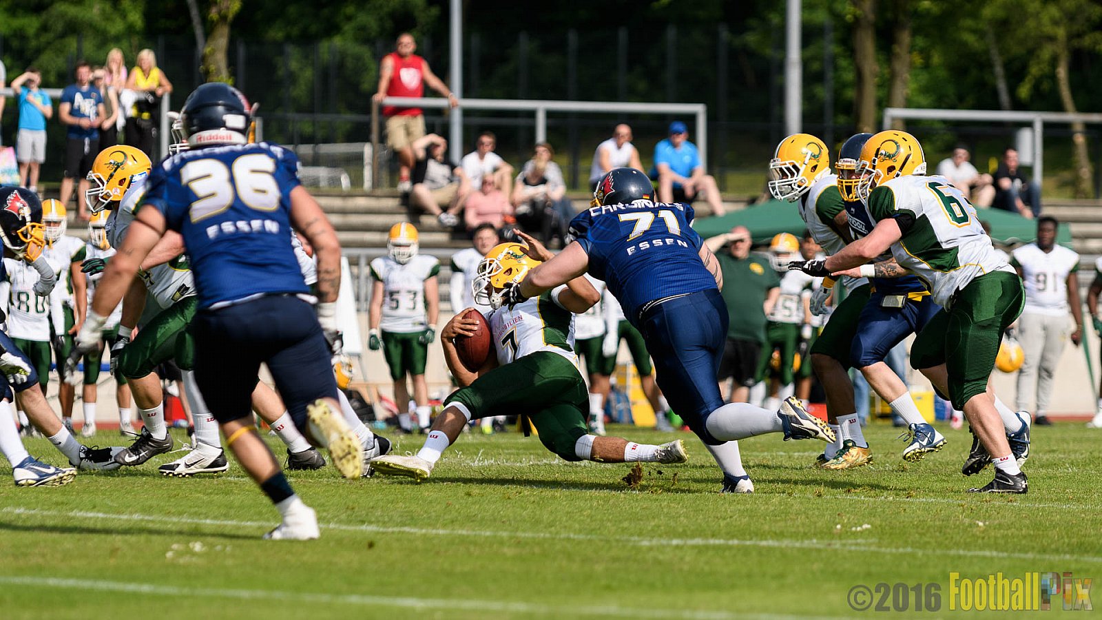 Essen Assindia Cardinals vs. Cologne Crocodiles - 21.05.2016 GFL2: Essen Assindia Cardinals vs. Cologne Crocodiles (0:17)