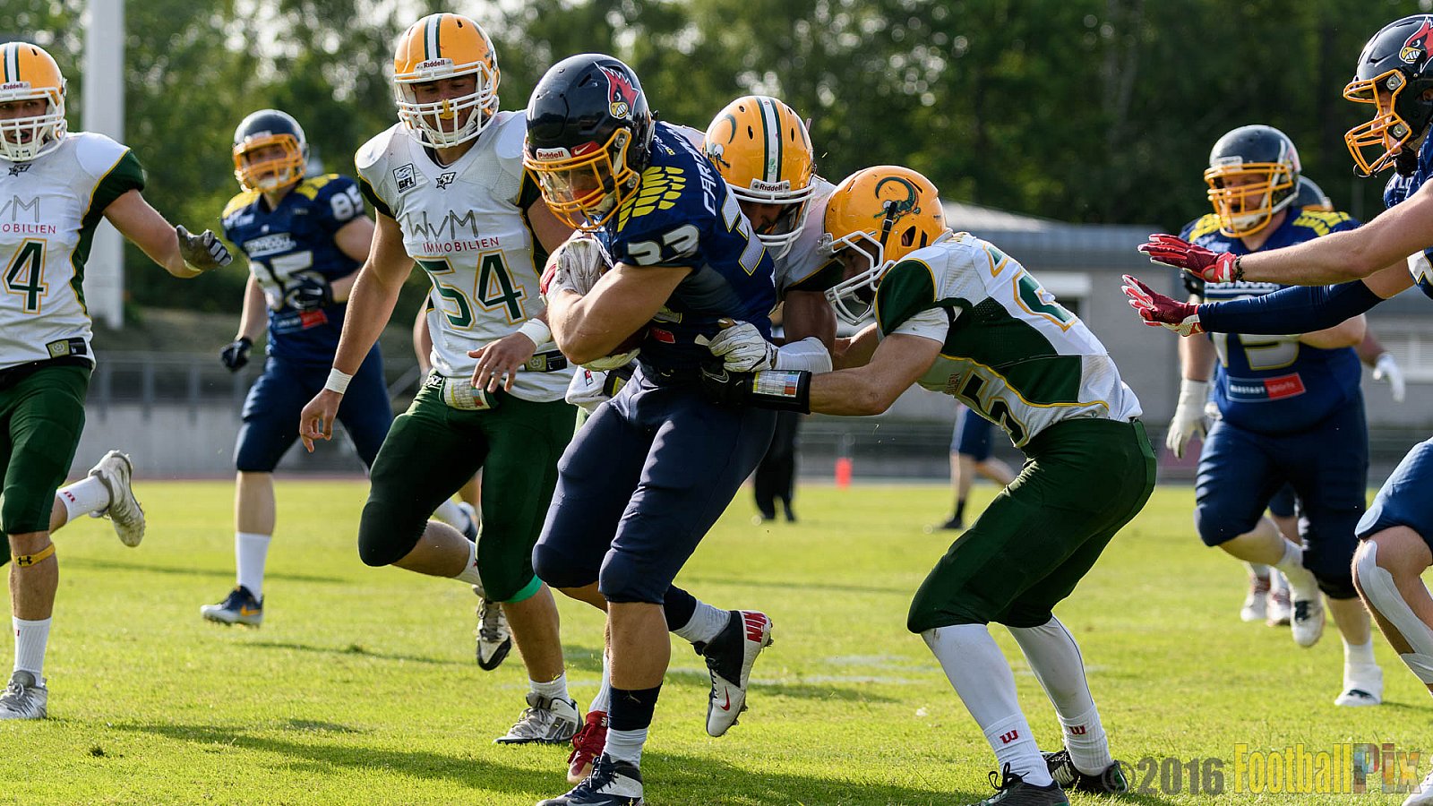 Essen Assindia Cardinals vs. Cologne Crocodiles - 21.05.2016 GFL2: Essen Assindia Cardinals vs. Cologne Crocodiles (0:17)